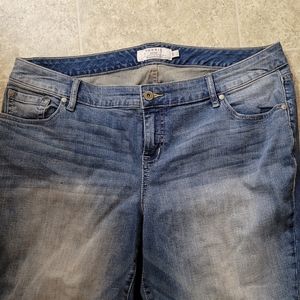 Torrid Jeans